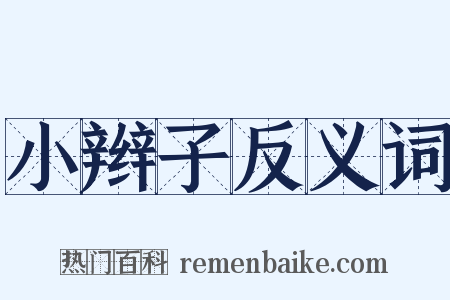 小辫子反义词是什么意思的图片